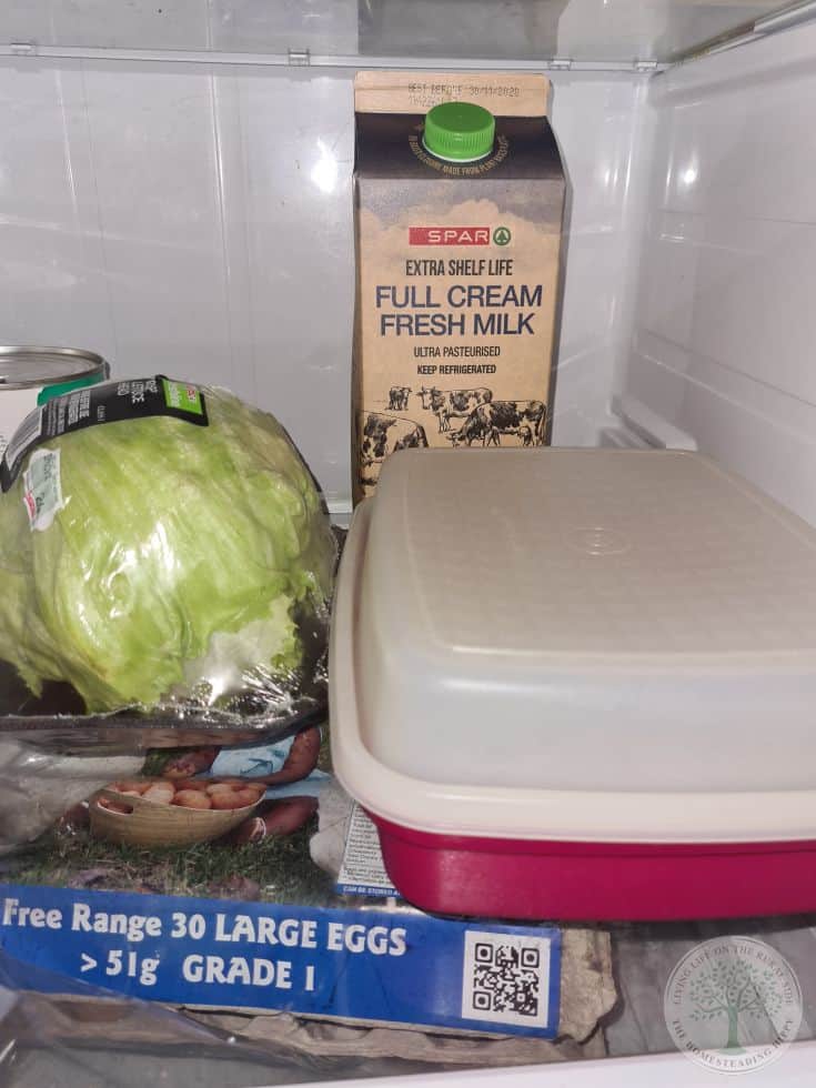milk stored in the back of the fridge