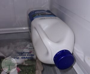 plastic milk jug with milk in the fridge