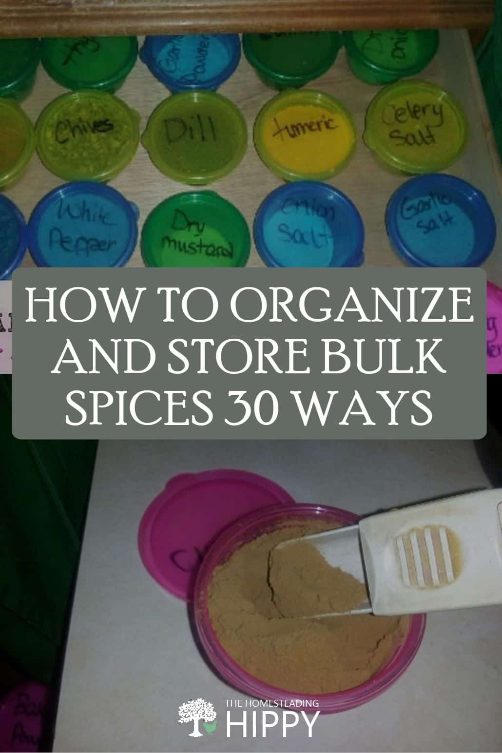 bulk spices organization pin