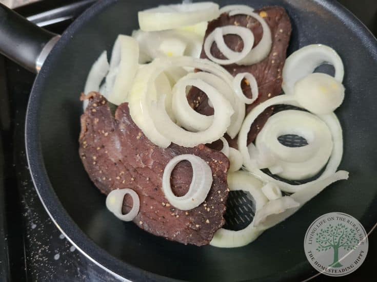 jerkey and sliced onion in frying pan