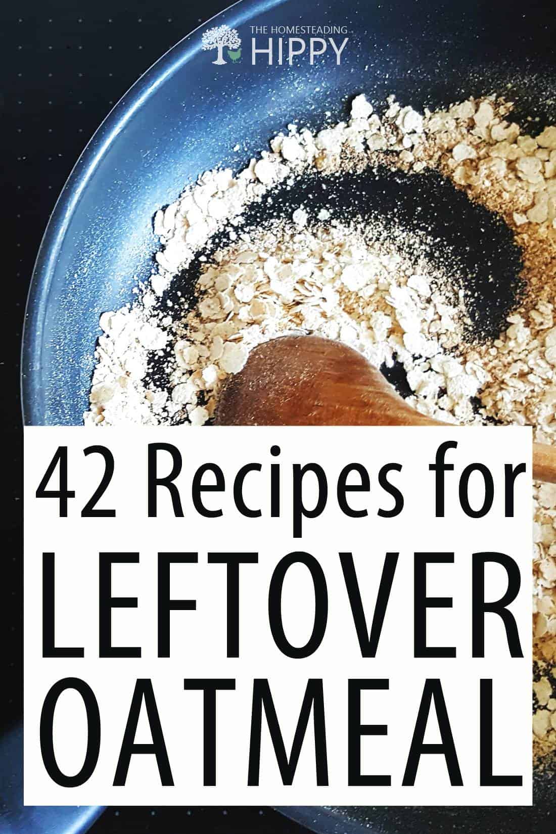 leftover oatmeal recipes Pinterest image
