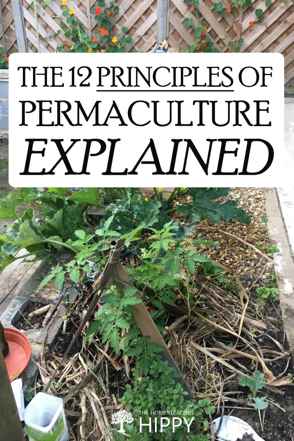 permaculture principles pin