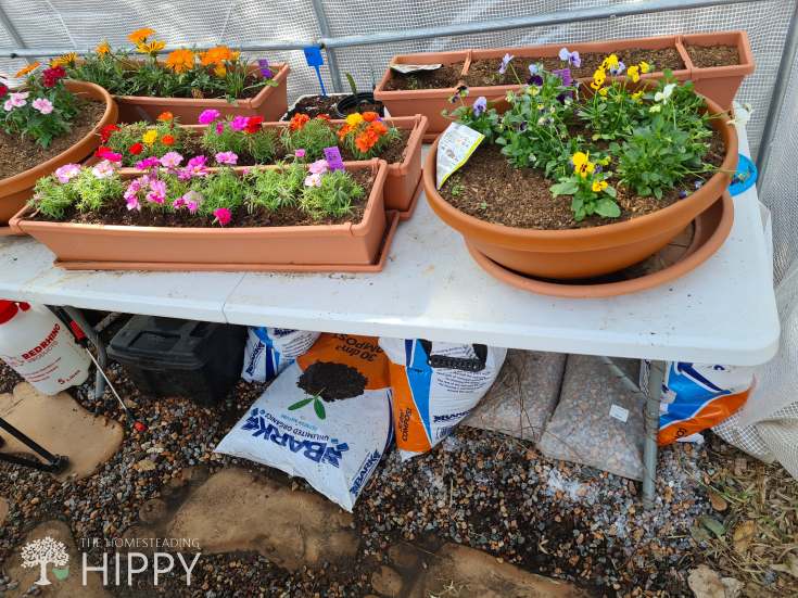 plastic work bench with containers with flowers on it