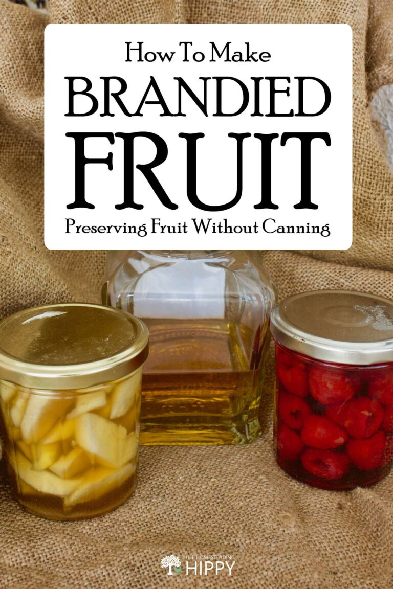 making brandied fruit pin image