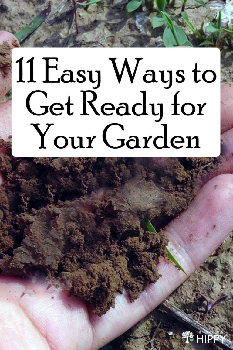 steps to starting a garden pin
