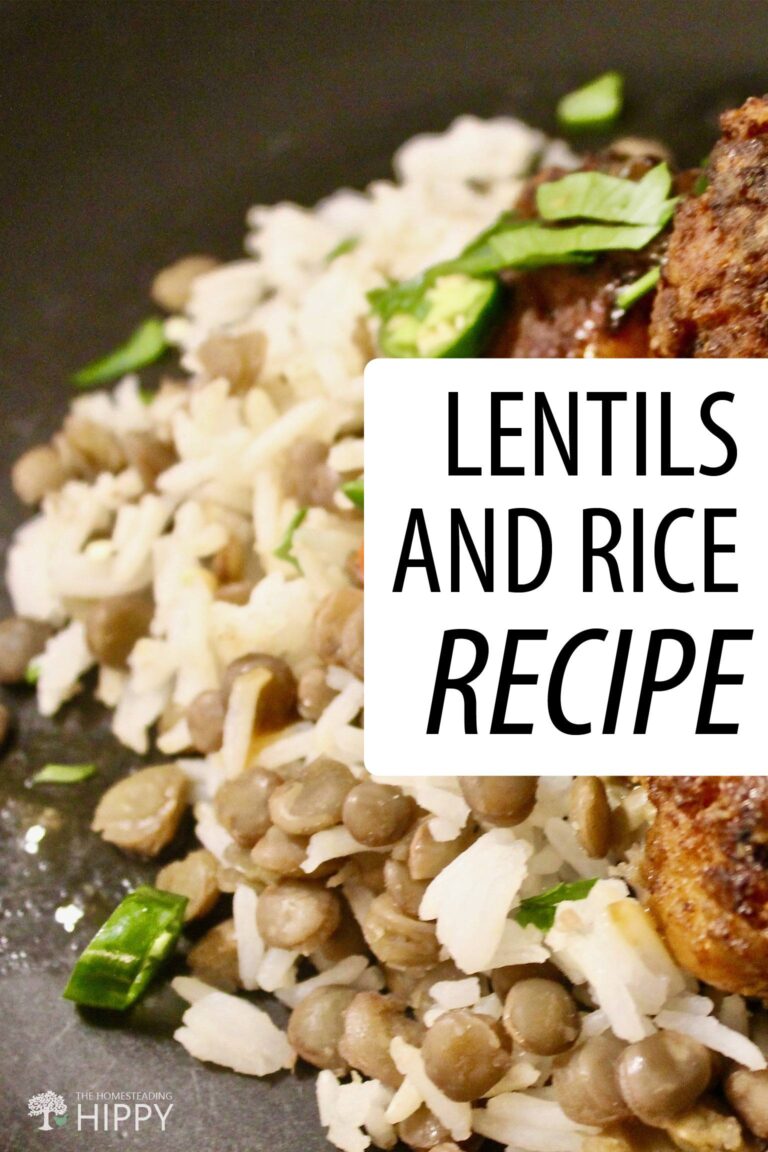 lentils and rice pin