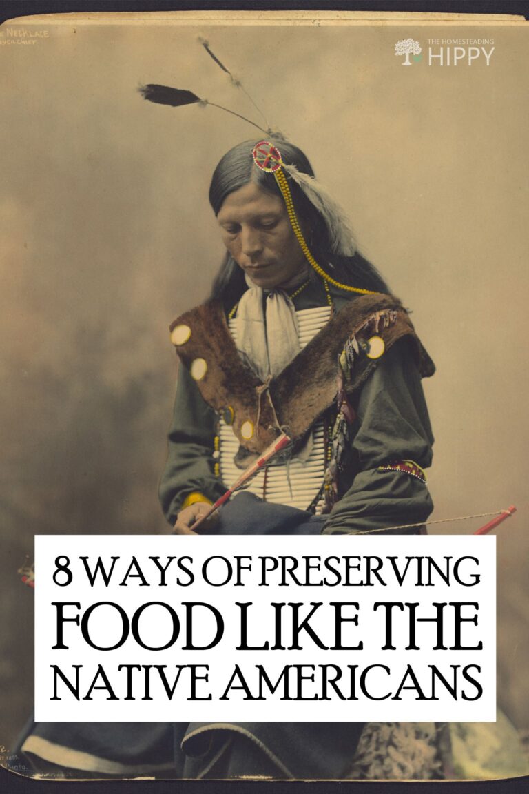 Native Americans food preservation pin