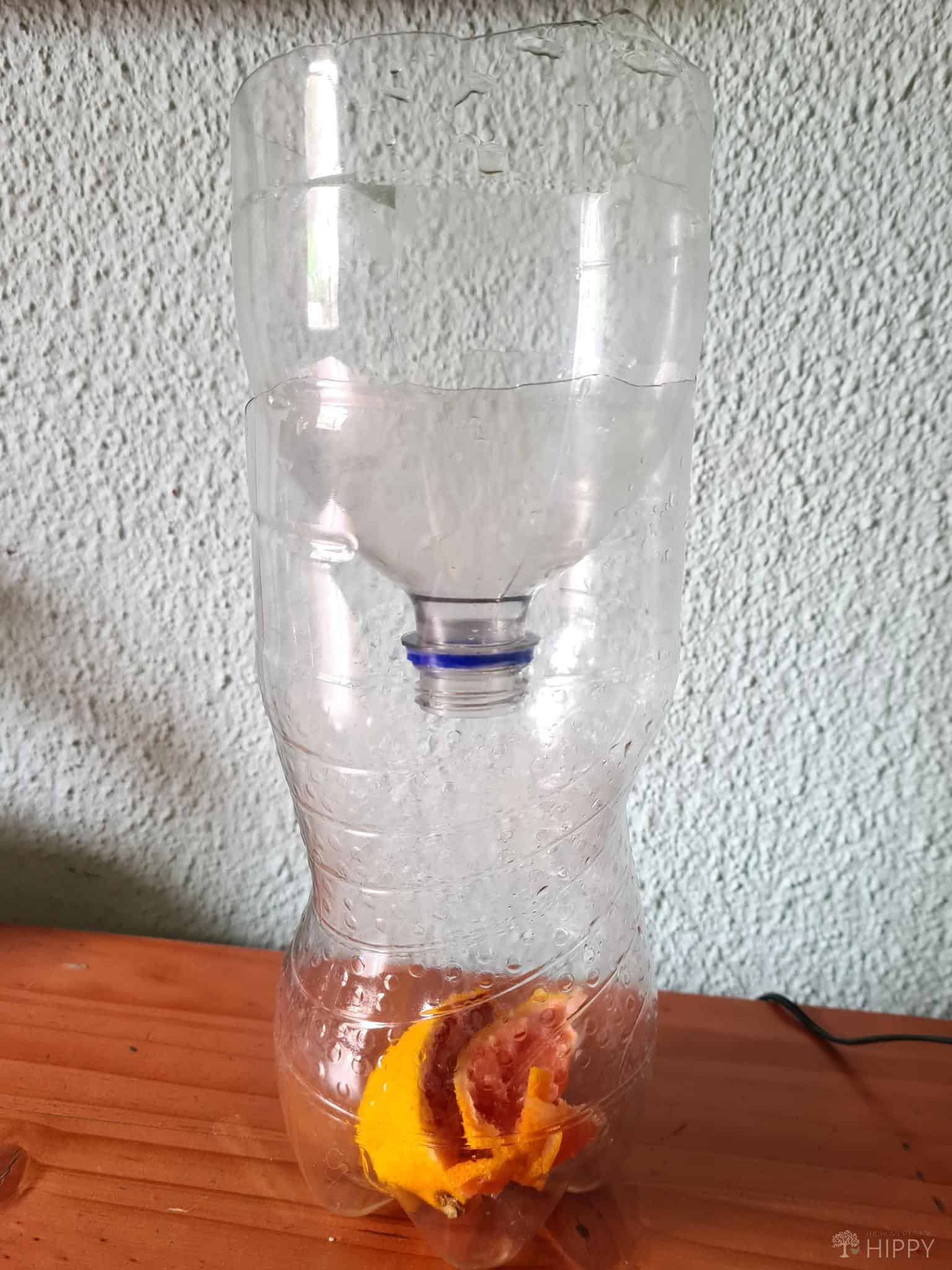 plastic bottle fly trap