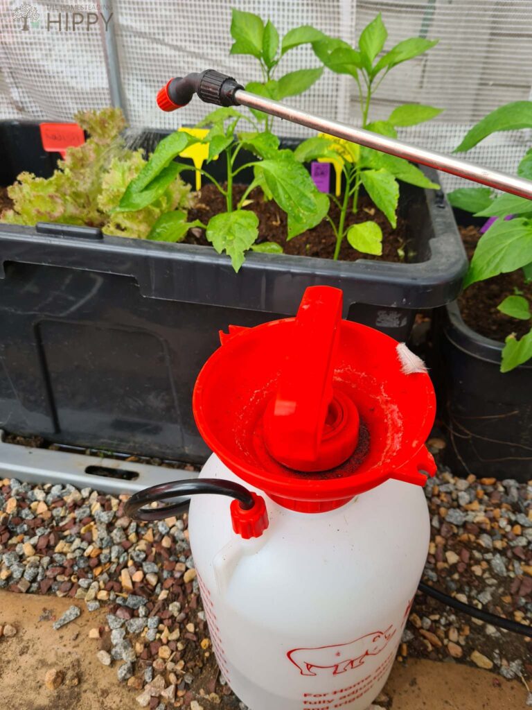 spray bottle filled with water next to container plant