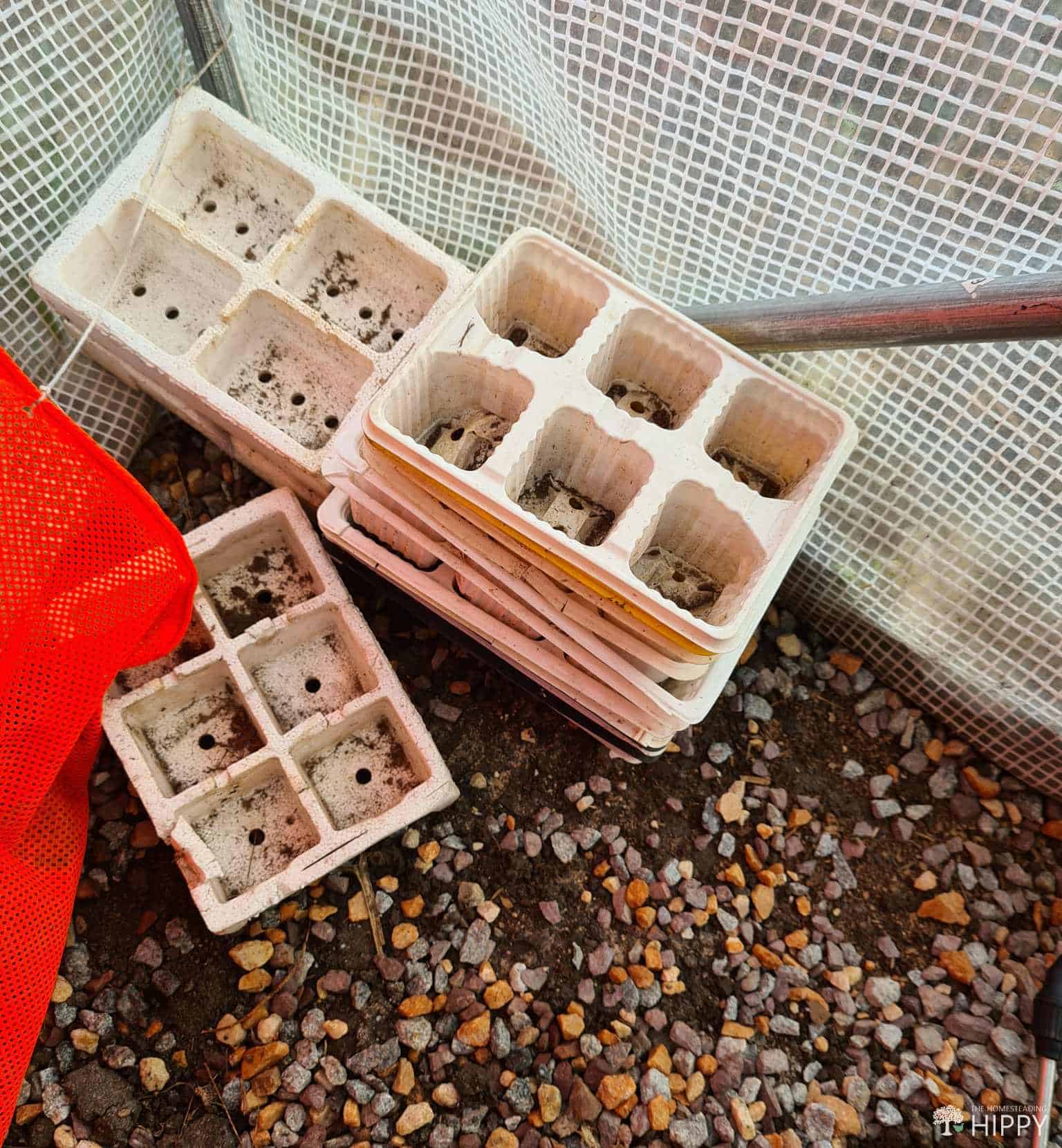 reused seeds trays