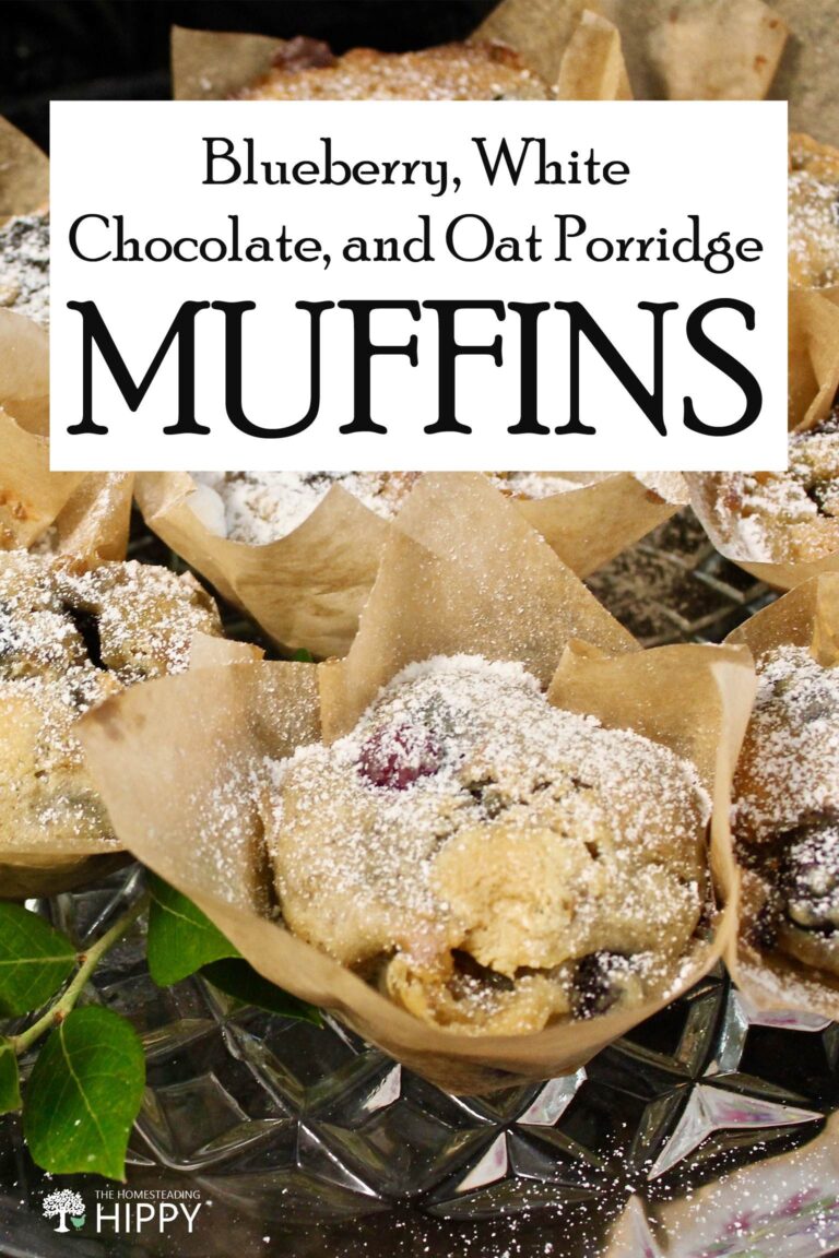 blueberry oats muffins pin