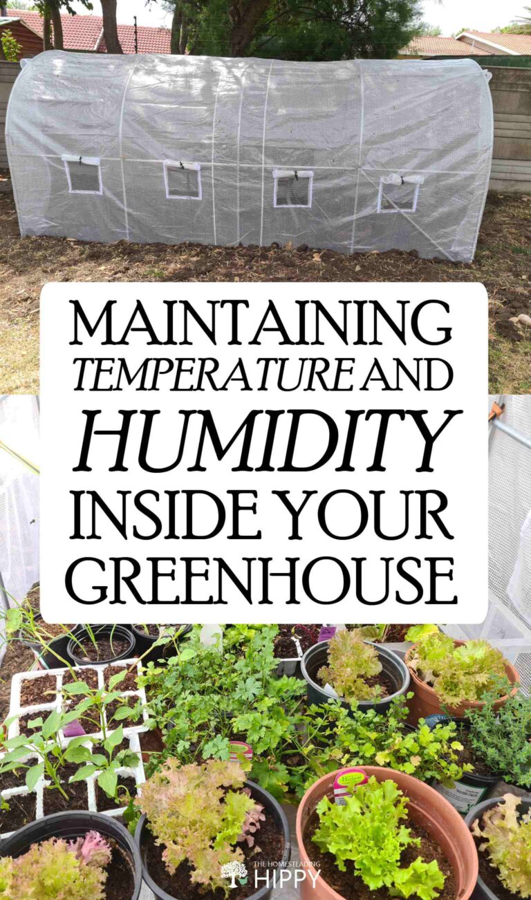greenhouse temp humidity pin image