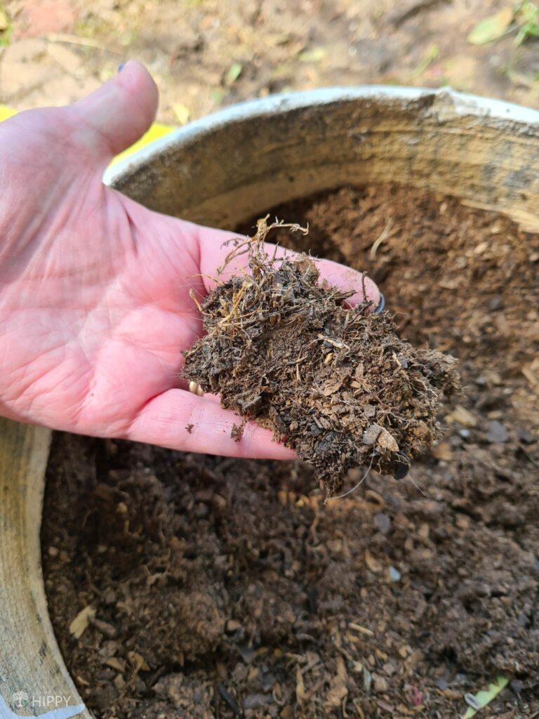 old lumpy potting soil