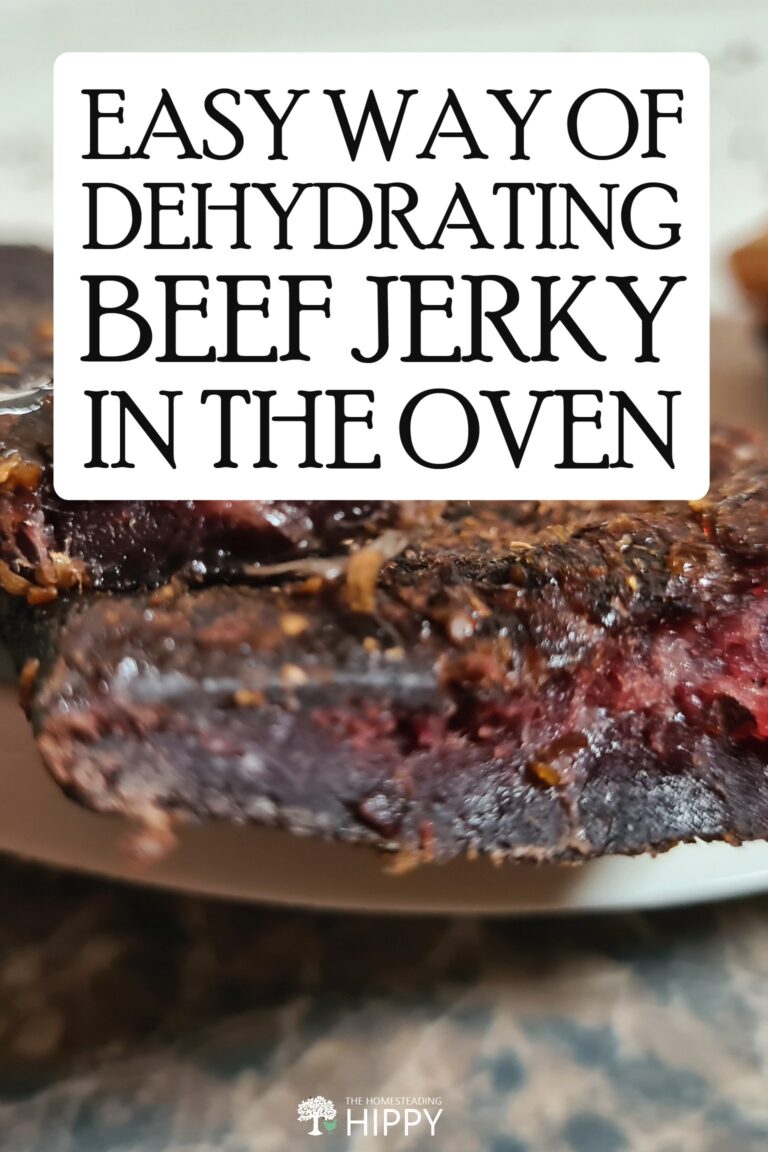 beef jerky in oven pin image