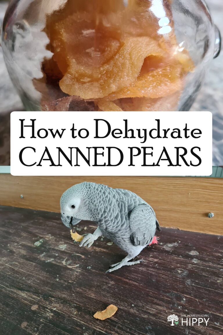 dehydrating canned pears pin image