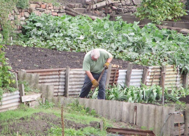 man working in the garden