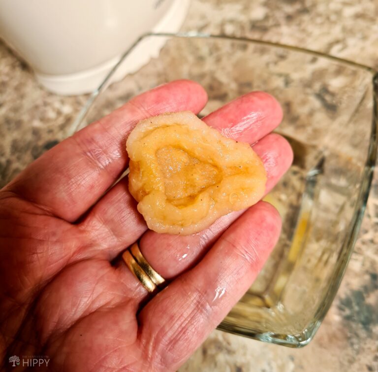 rehydrated pear in hand