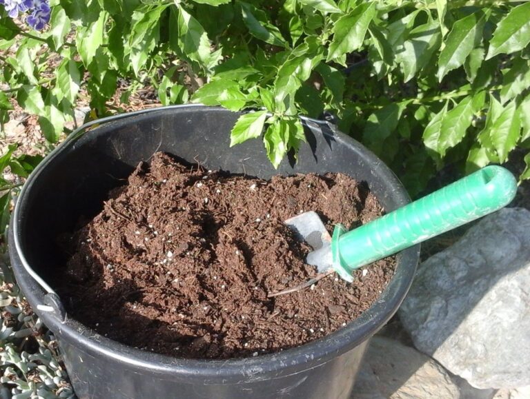 compost in black plastic bucket