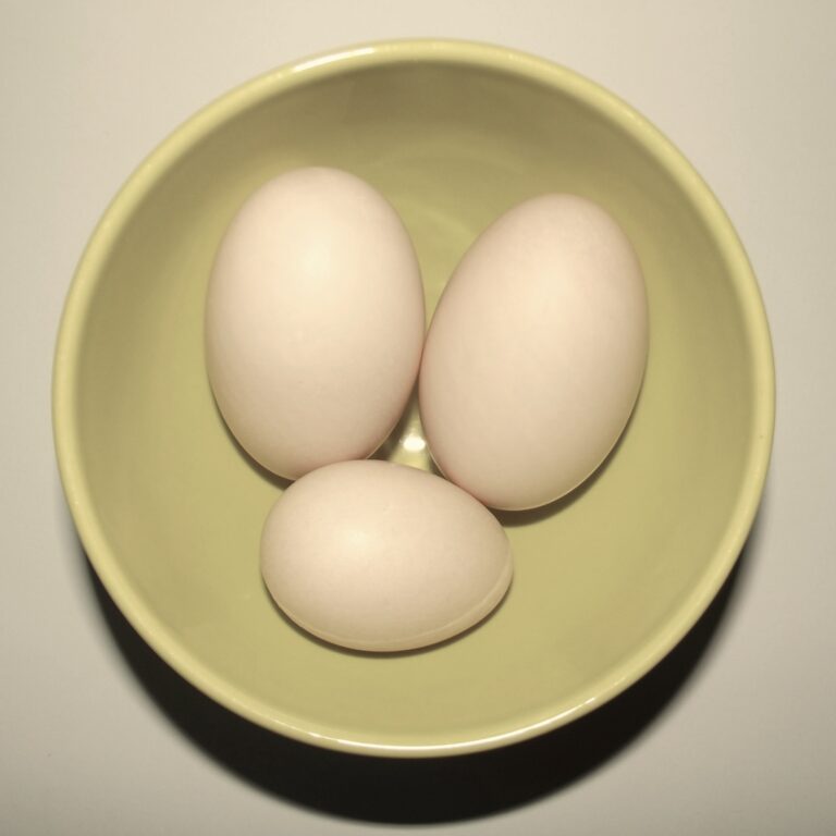 duck eggs next to chicken egg