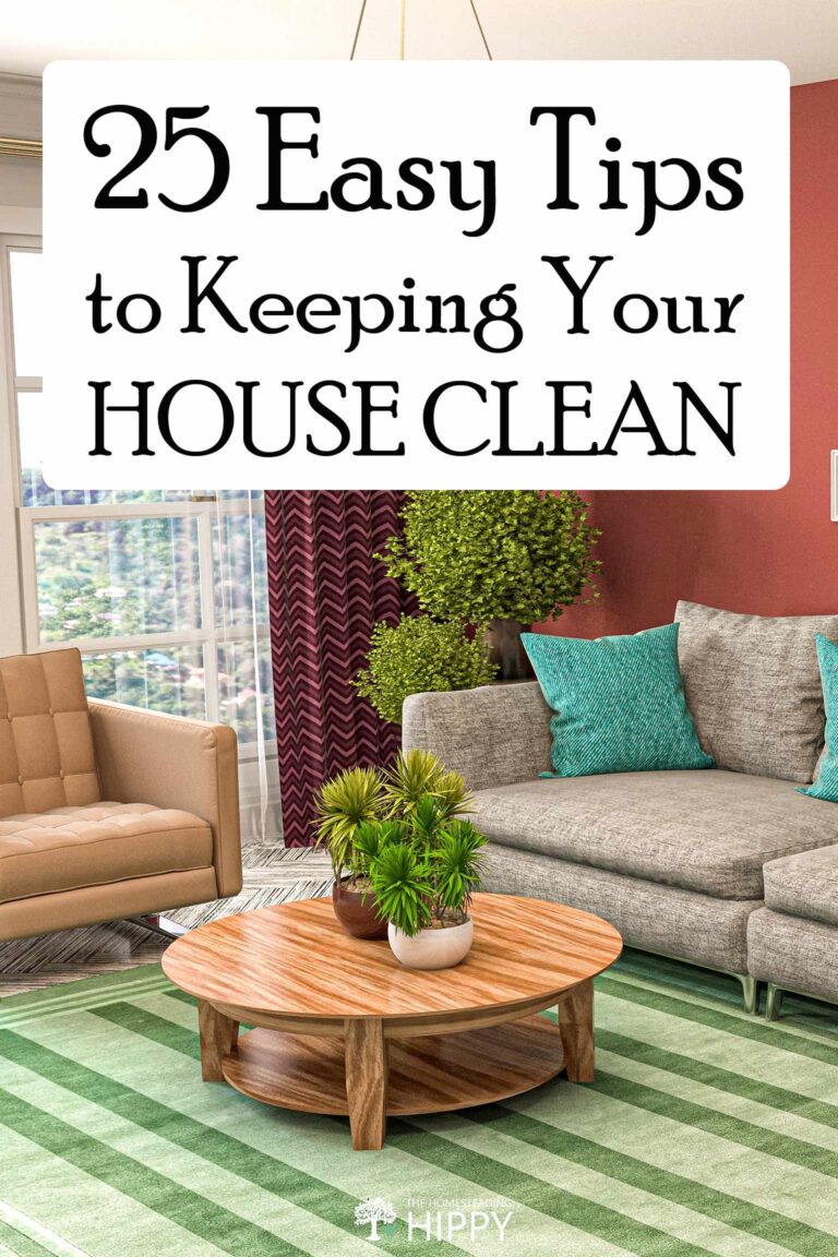 keeping house clean pin image
