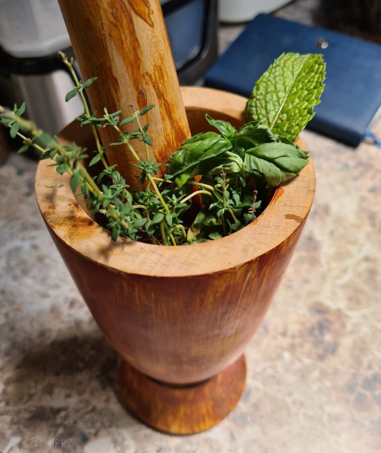 Crushing Basil Sage Thyme, and Mint to Make Herbal Tea