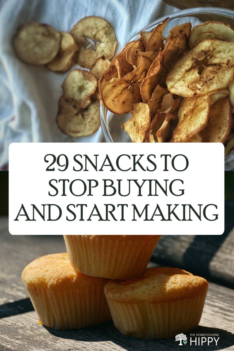 easy snacks recipes pin image