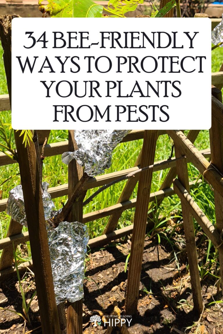 protecting plants bee friendly ways Pinterest image
