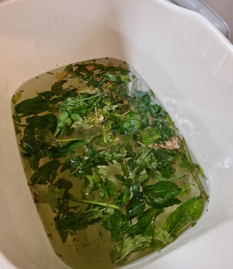 soaking crushed herbs to make herbal tea