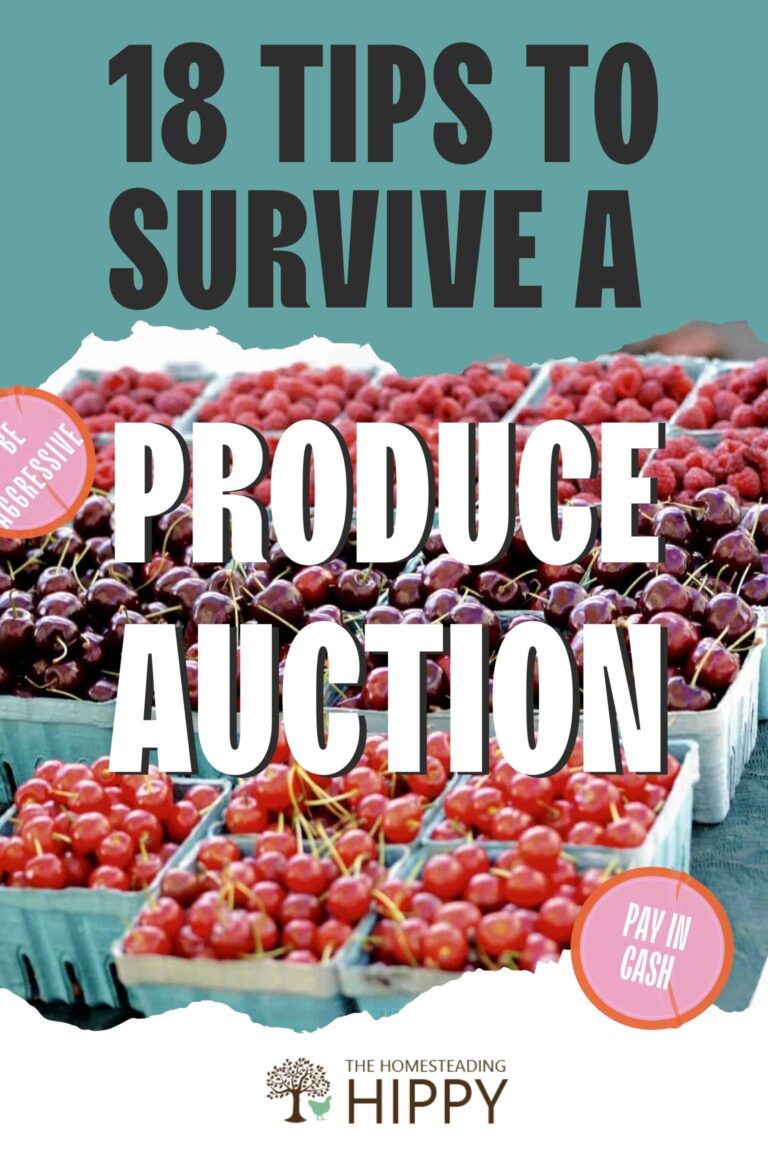 18 Tips to Survive a Produce Auction Pinterest Photo