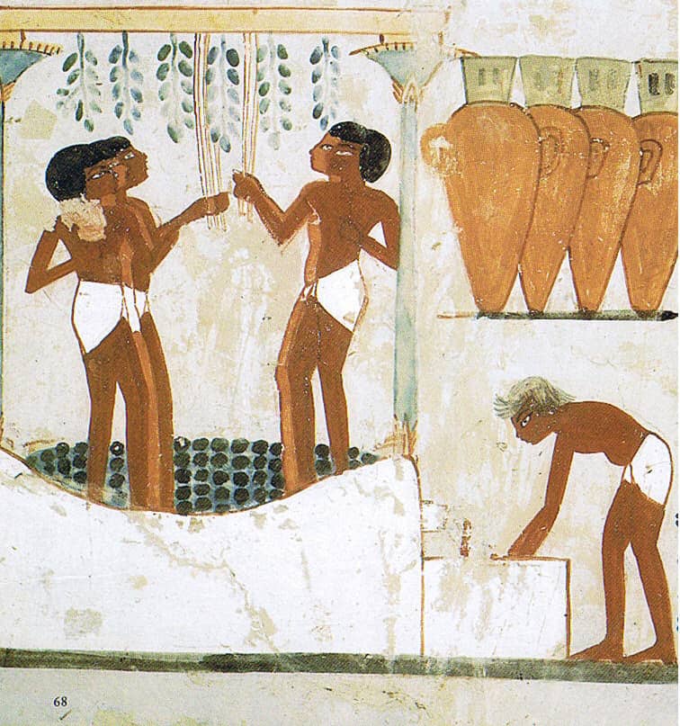 drawing of Egyptians fermenting grapes