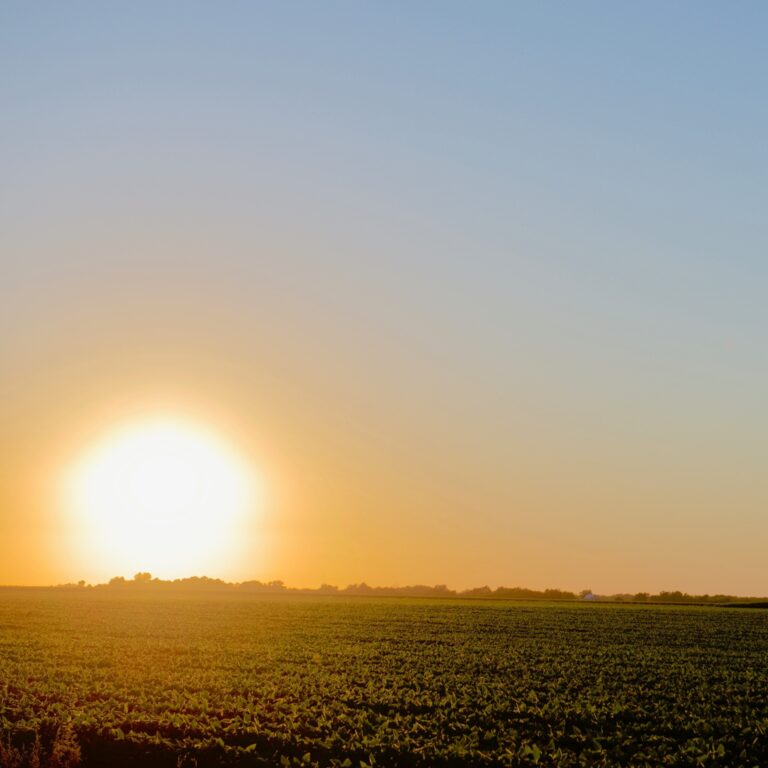 hot-sun-over-crop-field