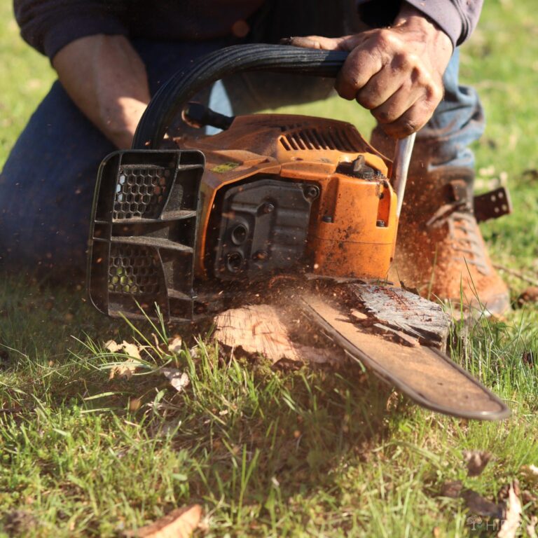 using a chainsaw to remove a tree stump