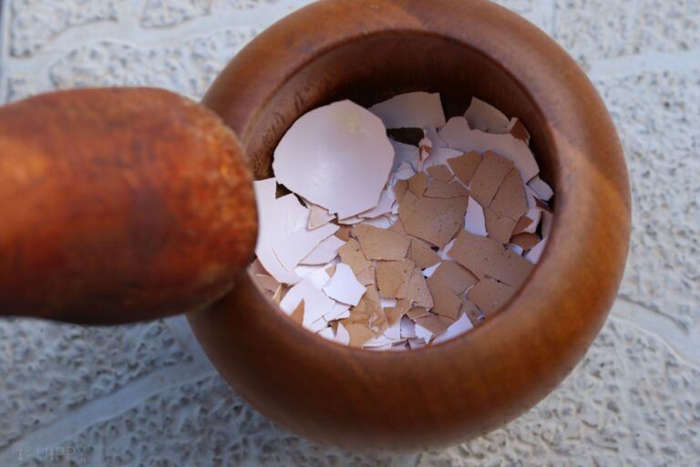 crushing eggshells using mortar and pestle