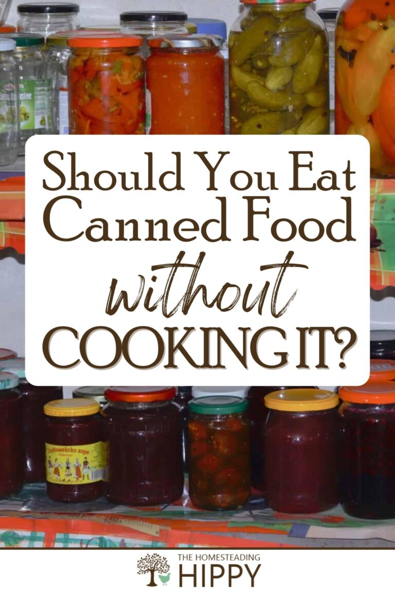 eating canned food without cooking it pinterest