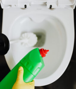 person scrubbing a toilet bowl