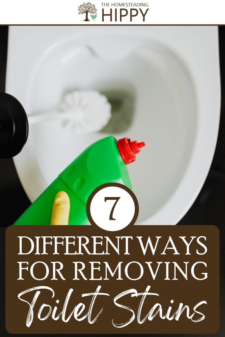 removing toilet stains pinterest
