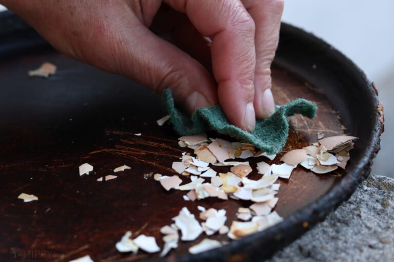 scrubbing cast iron pan with crushed eggshells