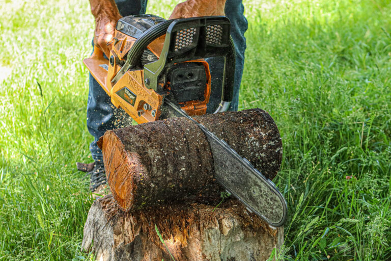 splitting a wet log with chainsaw