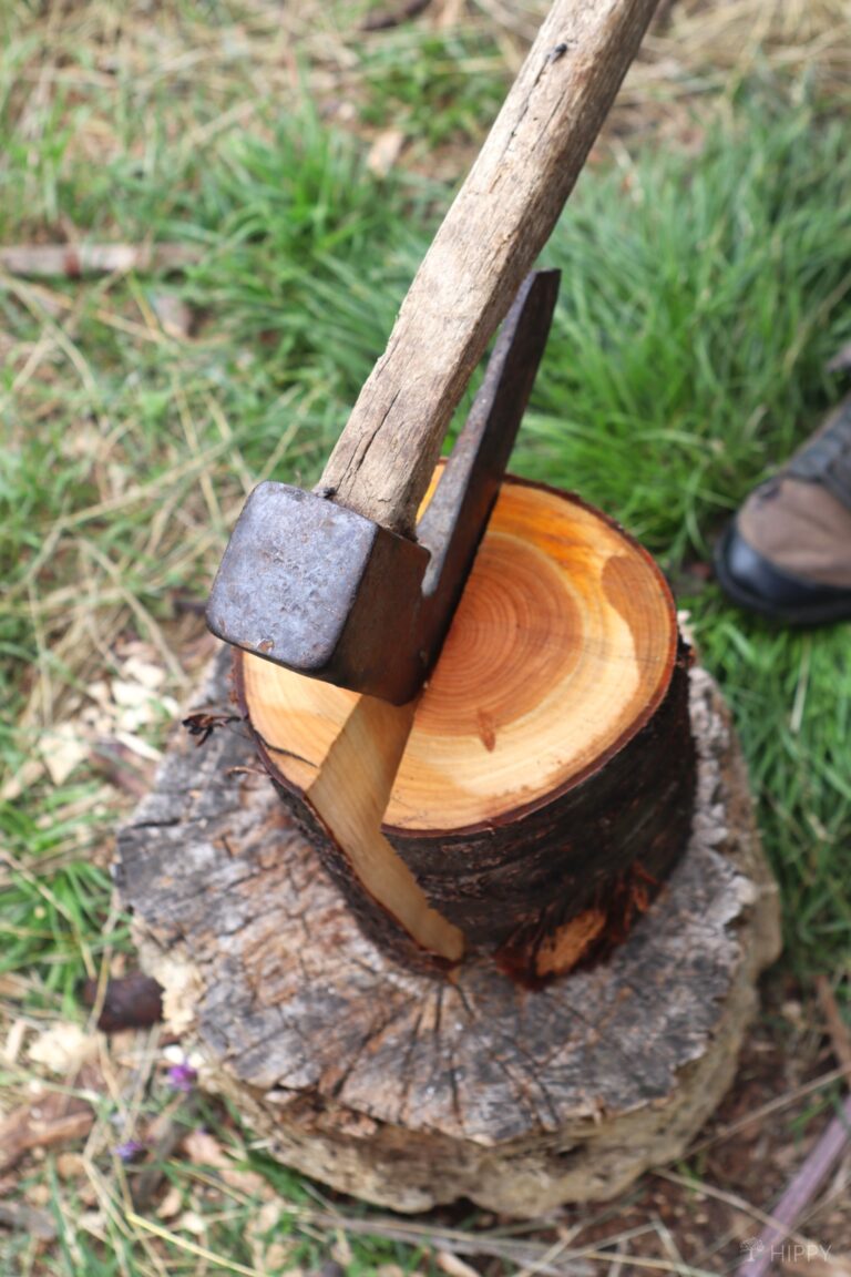 chopping a wet log with an axe
