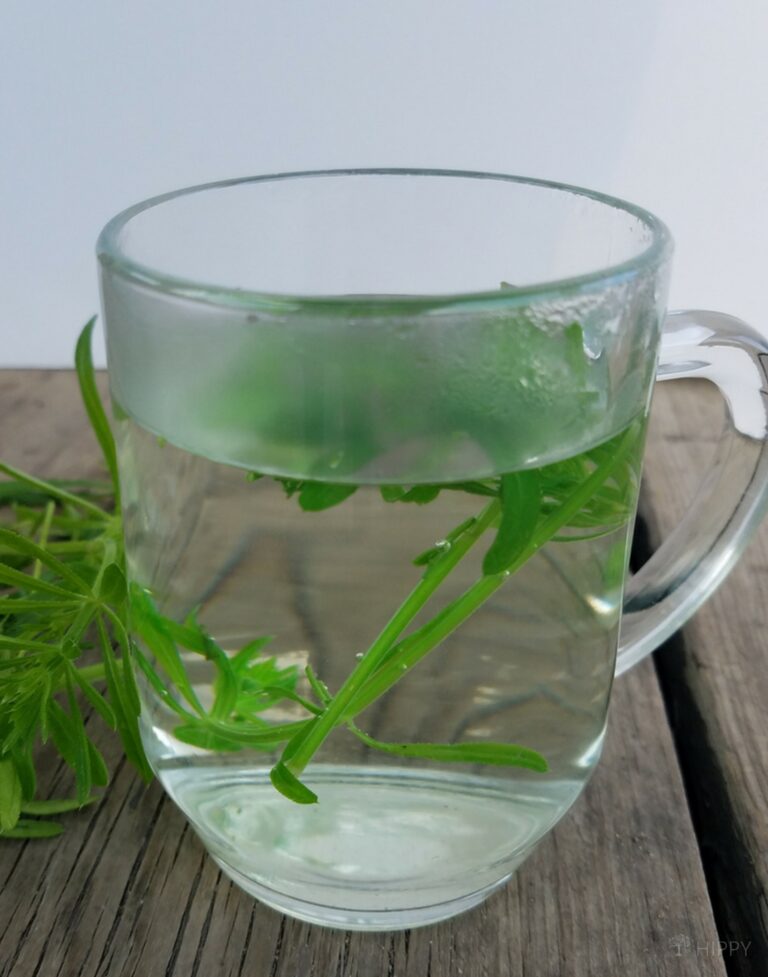 cleavers in glass