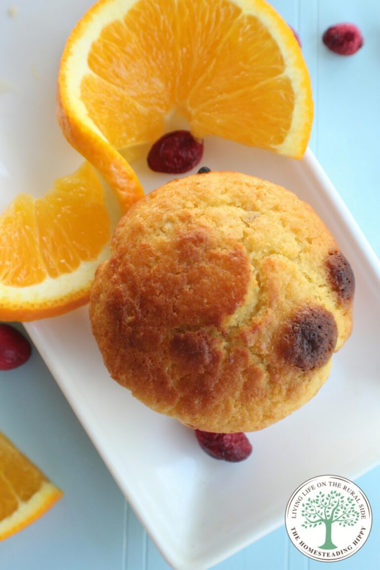 cranberry orange muffin next to slice of orange