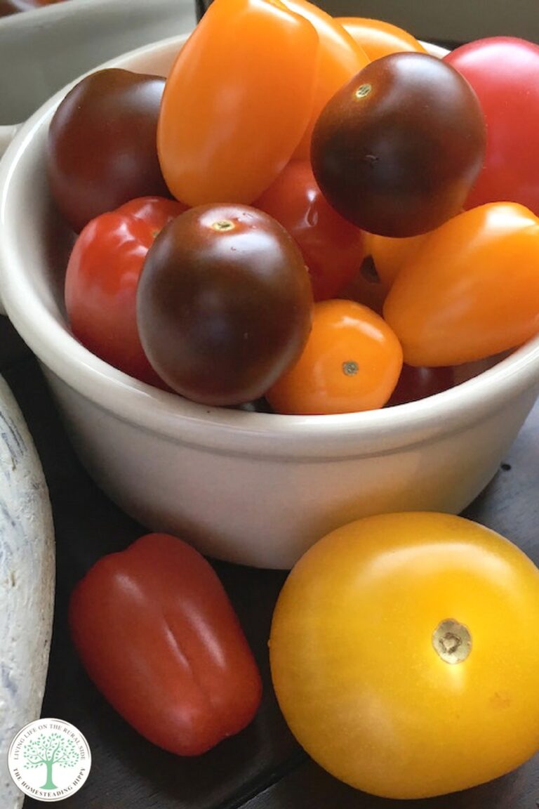 different types of tomatoes in bowl