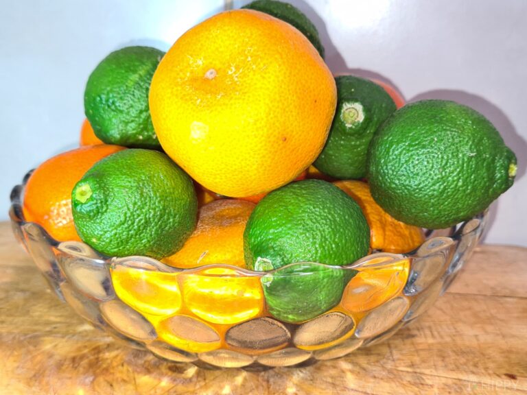 lime oranges and lemons in bowl