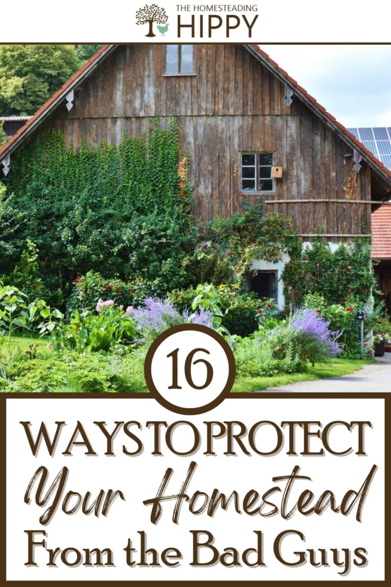 protect your homestead pinterest