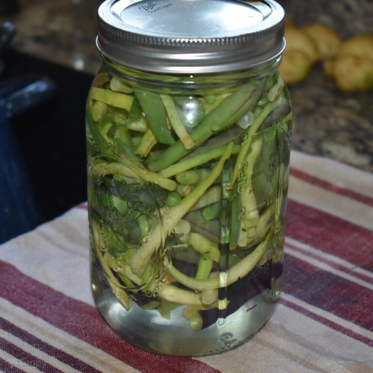 jar of green beans to go into canner after cold pack