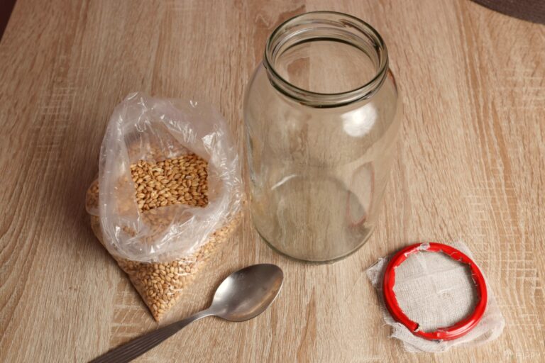 wheat seeds spoon mason jar cut out lid cheesecloth