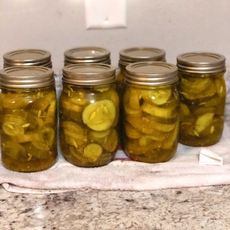 bread and butter zucchini pickles