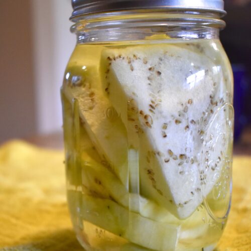 canned pickled eggplant