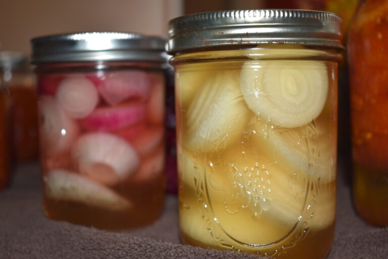 two jars of canned pickled onions