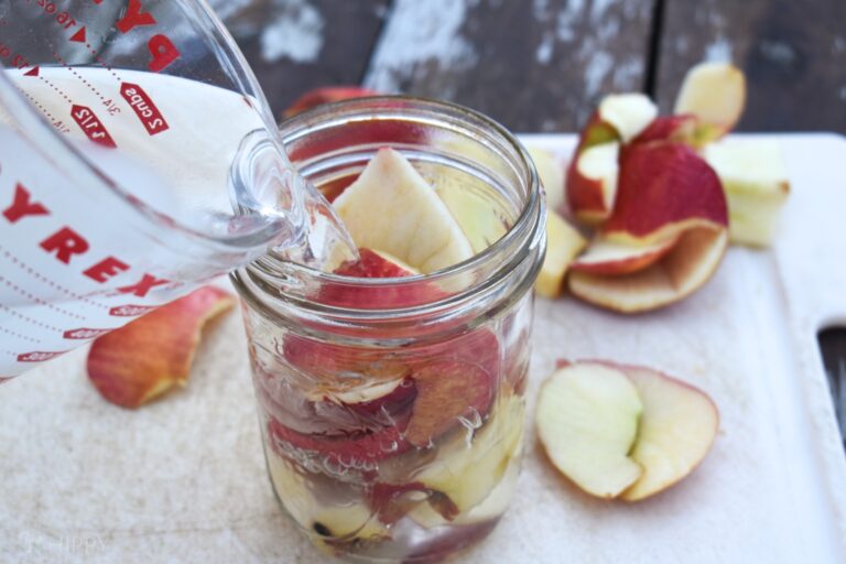 fill jar with apple chunks with water